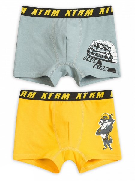 162047 трусы для мальчиков BUHB3171(2)