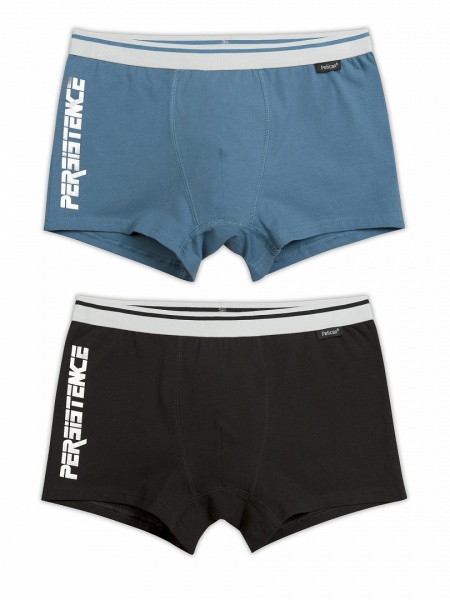 169638 BUHB5237(2) трусы для мальчиков