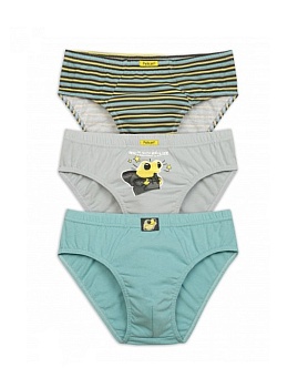 Трусы слипы для мальчиков Pelican 171168