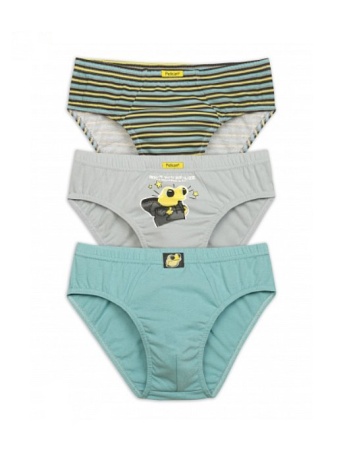171168 BULB4273(3) трусы для мальчиков