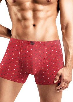 Трусы шорты Новый год для мужчин Clever 179217