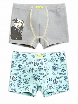 Трусы шорты для мальчиков Pelican 169633