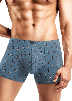Трусы шорты для мужчин Clever 177492