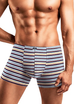 Трусы шорты для мужчин Clever 172320
