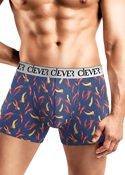 Трусы шорты для мужчин Clever 180470