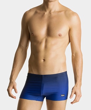 Трусы купальные шорты для мужчин Atlantic 178288