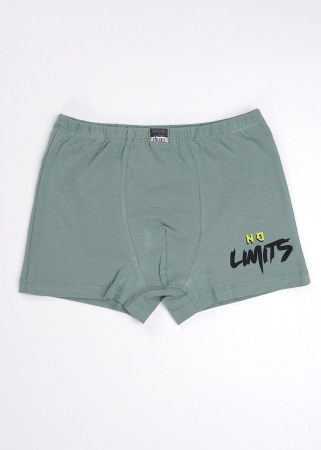 172974 Трусы мал. CLE BSH5505