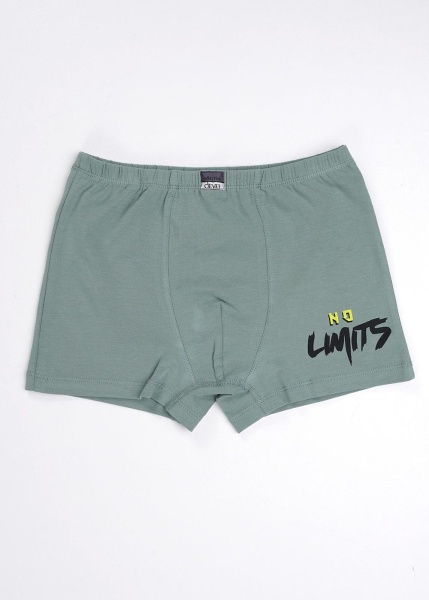 172974 Трусы мал. CLE BSH5505