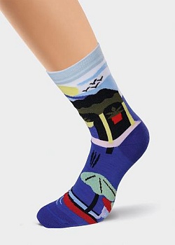 Носки цветные для женщин Clever 165512