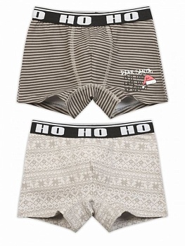 Трусы шорты для мальчиков Pelican 172463