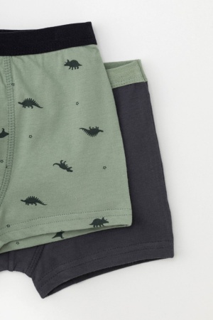 177574 Трусы для мал CROCKID К 1960/2 (5)