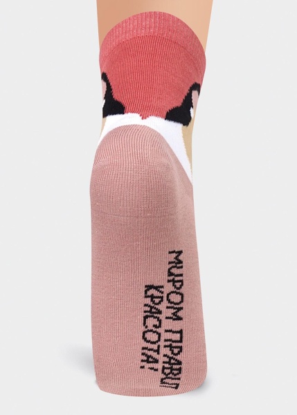 170871 Носки жен CLE Д5207 (1)