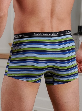 176246 Трусы мужские INDEFINI MUG3012