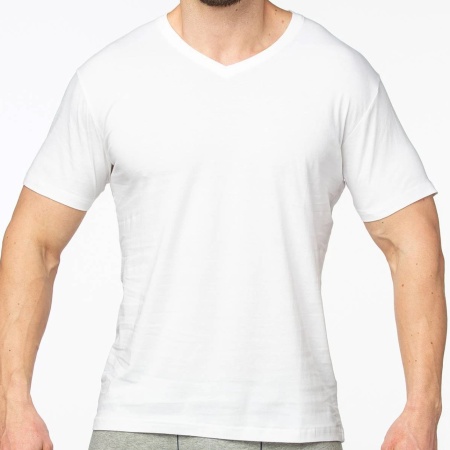 173948 Футболка мужская Tuosite SDT751-1 (1)