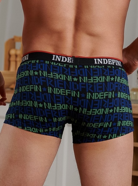 176695 Трусы мужские INDEFINI MUF3018 (1)