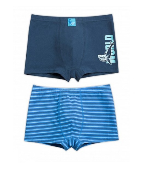 170090 BUHB4223(2) трусы для мальчиков