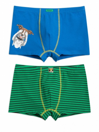 165966 BUHB4205(2) трусы для мальчиков