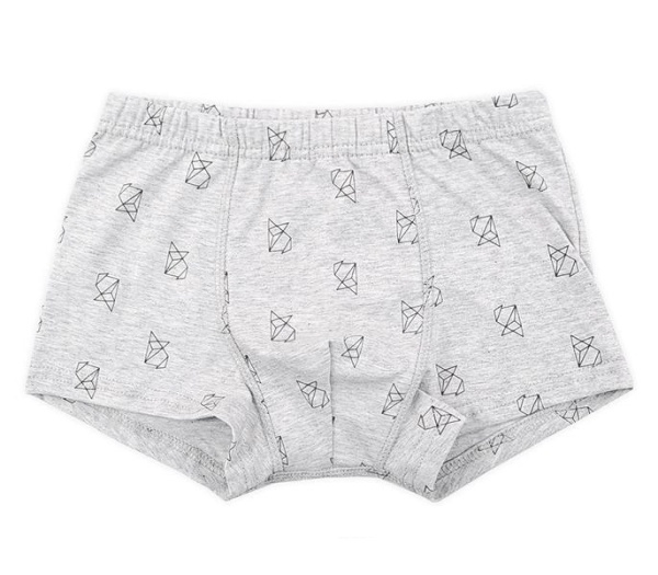 166077 Трусы для мал Trikozza КБ 1930/2