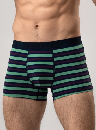 176245 Трусы мужские INDEFINI MUG2094