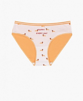 Трусы слипы для женщин Indefini 172824