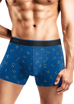 Трусы шорты для мужчин Clever 178384