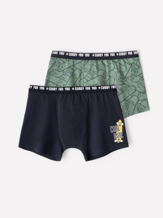 171433 Трусы для мал Trikozza КБ 1935/2 (6)