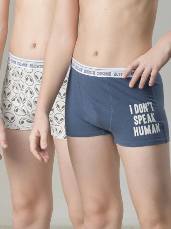 176201 BUHB4297(2) трусы для мальчиков