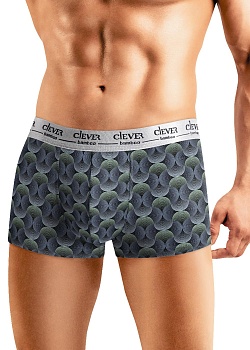 Трусы шорты для мужчин Clever 184558