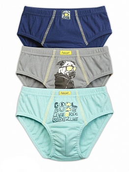 Трусы слипы для мальчиков Pelican 169640