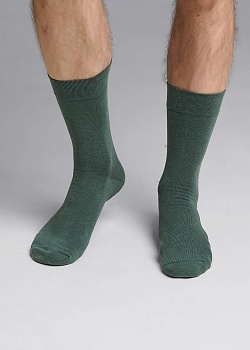 Носки цветные для мужчин Clever 178371