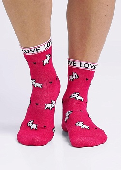 Носки цветные для женщин Clever 179378