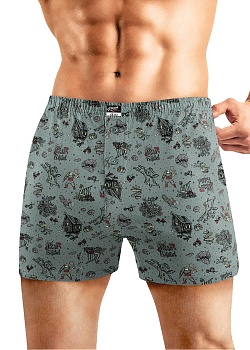 Трусы боксеры для мужчин Clever 179475