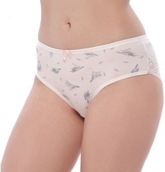 Трусы слипы для женщин SHESLOVE 171322