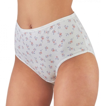 Трусы слипы макси для женщин MISS BEAUTIFUL 172286