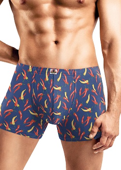 Трусы шорты для мужчин Clever 180469