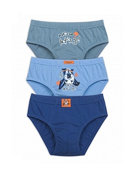 Трусы слипы для мальчиков Pelican 171165