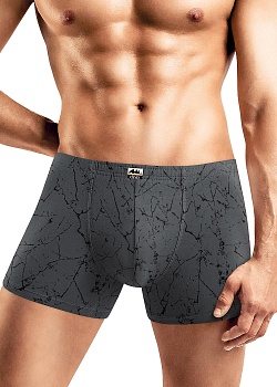 Трусы шорты для мужчин Clever 177239