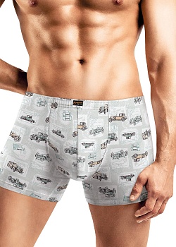 Трусы шорты для мужчин Clever 179889