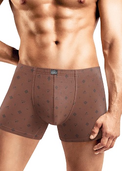 Трусы шорты для мужчин Clever 184761