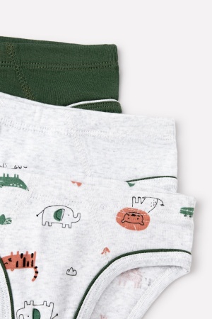 166076 Трусы для мал Trikozza КБ 1928/3 (1)