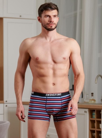 176669 Трусы мужские INDEFINI MUG3019