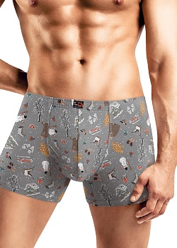 Трусы шорты для мужчин Clever 185166