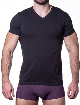 Футболка для мужчин Sergio Dallini 173949