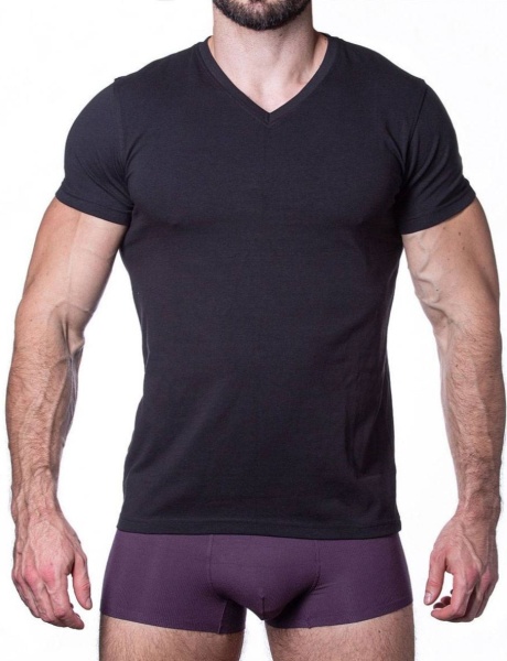 173949 Футболка мужская Sergio Dallini SDT751-2