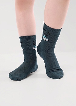 Носки с принтом для мальчиков Clever 185150