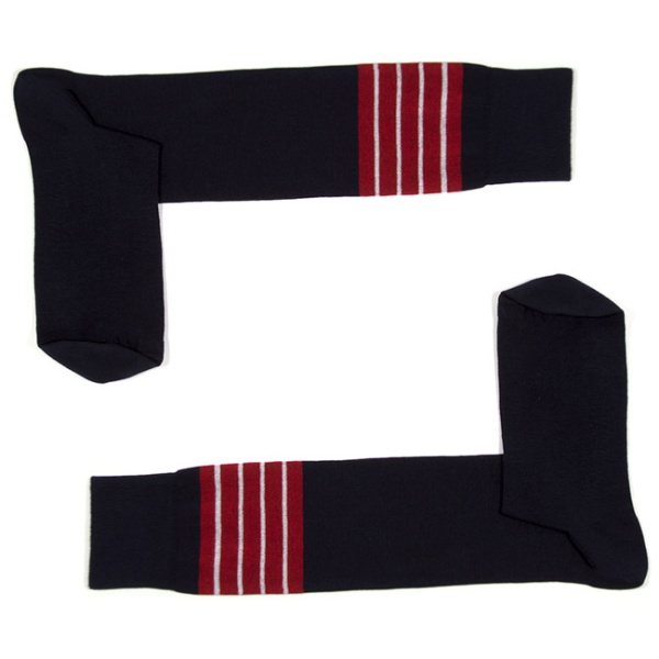 145842 Носки мужские Levante U084