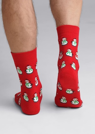 177069 Носки муж CLE К3353П (1)