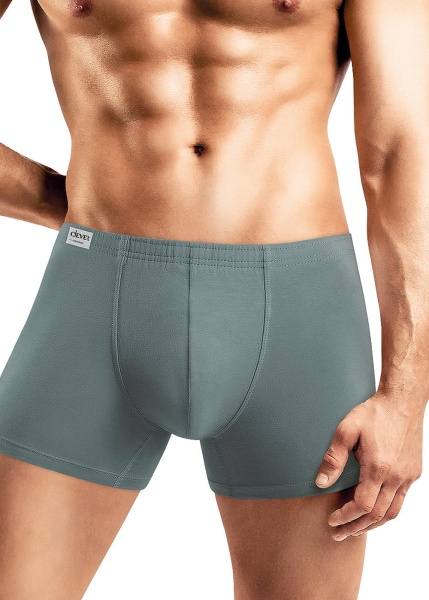 140777 Шорты мужские CLE MSH608810 (3)