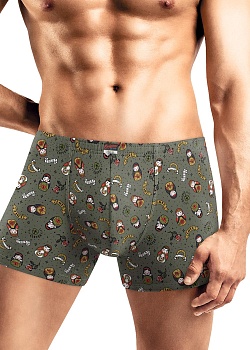 Трусы шорты для мужчин Clever 185827