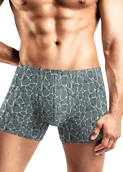 Трусы шорты для мужчин Clever 185974